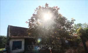 Từ 3-5/4, nhiều thành phố có chỉ số UV ở ngưỡng nguy cơ gây hại đặc biệt cao