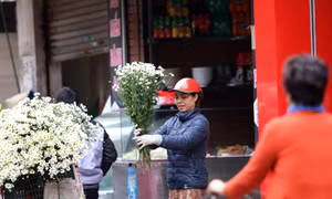 Thời tiết ngày 31/1: Bắc Bộ có nơi rét đậm, trưa chiều hửng nắng
