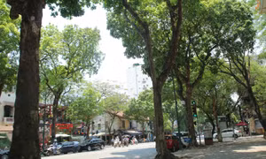 Đêm 23/9, Bắc Bộ trời lạnh, Nam Bộ có mưa rào và dông