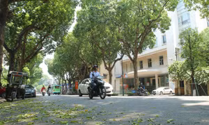 Thời tiết 13/4: Bắc Bộ sáng có mưa và sương mù, trưa trời nắng