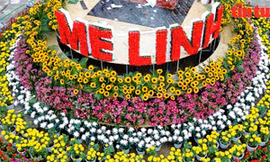 Người dân nườm nượp đổ về Mê Linh check-in Festival Hoa