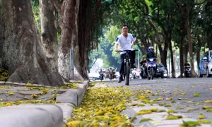 Hà Nội đẹp say lòng trong mùa lá rụng 
