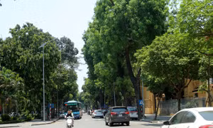 Thời tiết ngày 6/7: Bắc Bộ và Trung Bộ nắng nóng, có nơi trên 38 độ C