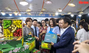 Doanh nghiệp 30 tỉnh, thành phố trong cả nước tham gia Hội chợ hàng tiêu dùng - Hà Nội 2024