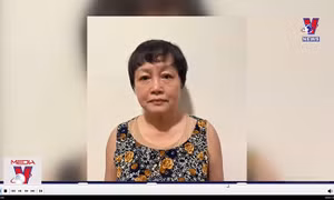 Bắt Nguyên Phó Giám đốc Sở Kế hoạch và Đầu tư TP Hồ Chí Minh
