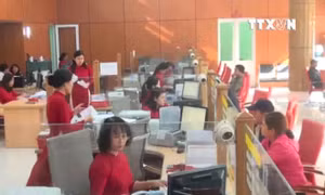 Agribank bác tin đồn bị phá sản