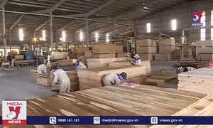 Kiến nghị cho lao động hưởng lương hưu sớm