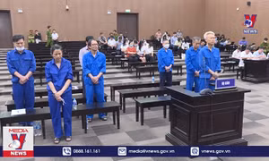 Cựu Tổng Giám đốc Cienco 1 bị phạt 7 năm tù