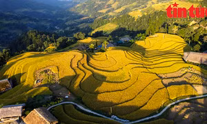 Ngỡ ngàng vẻ đẹp ruộng bậc thang xã Xà Phìn, Hà Giang mùa lúa chín