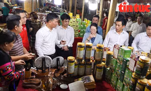 Gần 300 gian hàng tham gia Festival nông sản Hà Nội tại Đông Anh
