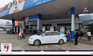 6 thương nhân phân phối xăng dầu bị thu hồi giấy phép