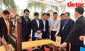 ‘Link to Grow’ nhằm xúc tiến đầu tư sản xuất xanh, phát triển bền vững