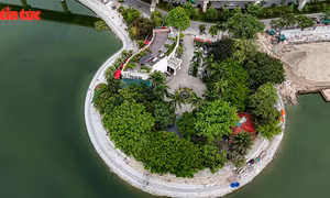 Cận cảnh bán đảo hồ Đống Đa làm sân chơi, vườn hoa