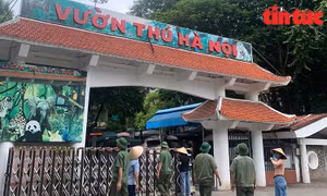 Vườn thú Hà Nội tạm ngừng hoạt động, chủ động phòng tránh bão số 3