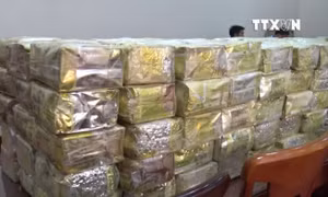 Thu giữ 300 kg ma túy từ đường dây mua bán xuyên quốc gia
