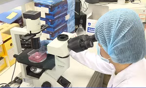 Sẽ tiêm thử nghiệm vaccine ngừa lao chống COVID-19