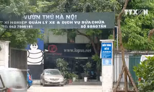 Xây dựng bãi đỗ xe ngầm tại công viên Thủ Lệ liệu có phù hợp?