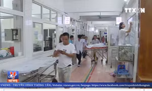 Nhiều ca tai nạn giao thông do sử dụng rượu bia