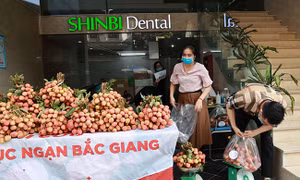 Người Hà Nội rủ nhau mua vải hỗ trợ người dân vùng dịch Bắc Giang