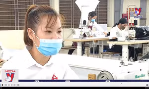 Làn sóng di cư ngược