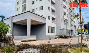 Khu tái định cư Đền Lừ III bỏ hoang trên đất vàng Hà Nội
