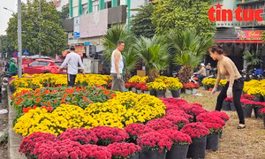 Biến điểm tập kết rác tự phát thành vườn hoa xuân ở Hà Nội