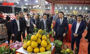 Không gian Xuân hội tụ đặc sản vùng miền tại Minh Châu