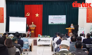 Khởi động Chương trình Bảo vệ loài gấu 2024