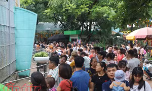 Các điểm đến bội thu dịp nghỉ lễ 2/9, du lịch bước vào mùa đón khách quốc tế