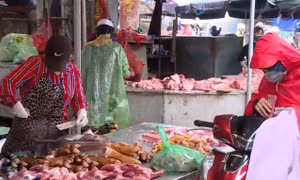 Nguy cơ dịch bệnh từ những chợ dân sinh