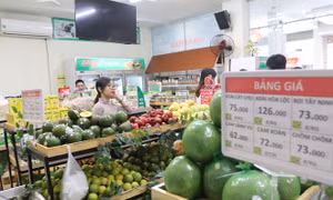 Đưa thực phẩm sạch tới người tiêu dùng