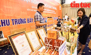 Kết nối giao thương giữa nhà cung cấp với các doanh nghiệp xuất khẩu
