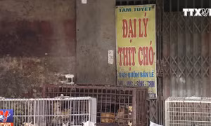 Hà Nội tuyên truyền không ăn thịt chó