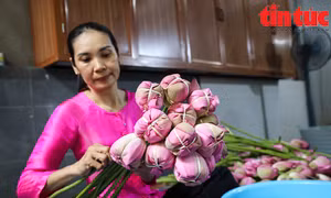 Độc đáo trà sen 'ướp xổi' Tây Hồ