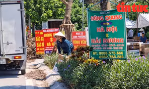  Đại lộ Chu Văn An biến thành ‘bãi xe giao nhận hàng hóa’