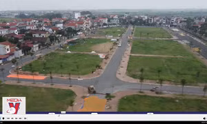 Khi đấu giá đất với giá trên trời