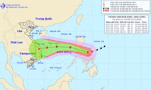 Siêu bão Goni giảm cấp sau khi đi vào miền Trung Philippines