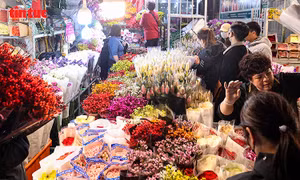 Chợ hoa Quảng An rực sáng suốt đêm cận Tết Bính Ngọ 2026