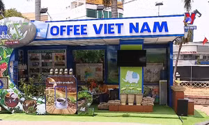 Cà phê cần một thương hiệu quốc gia