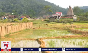 Kon Tum: Chấn chỉnh tình trạng vi phạm đất đai ở Kon Plông