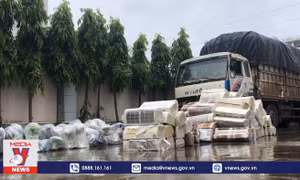 Phát hiện 2 vụ hàng lậu tại TP Hồ Chí Minh
