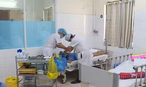Cảnh báo bệnh than xuất hiện trở lại