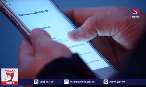 Lừa đảo trực tuyến gia tăng