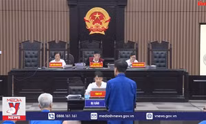 Làm rõ sai phạm định giá đất của Cienco 1