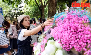Phố Phan Đình Phùng đông nghịt người 'check-in' cuối tuần