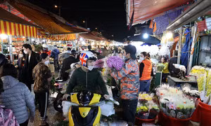 Cận ngày 20/10, chợ hoa Quảng An nhộn nhịp bán mua