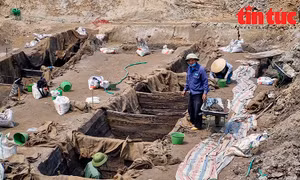 Cận cảnh khai quật hai thuyền cổ độc đáo gần thành cổ Luy Lâu