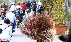 Bắc Bộ sáng có sương mù, trưa chiều hửng nắng