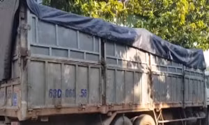 Lái xe đổ trộm rác thải bỏ trốn bị rắn cắn nhập viện