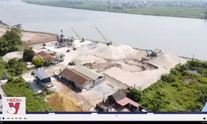 Buông lỏng quản lý đê điều ở Nam Định - Ai chịu trách nhiệm?